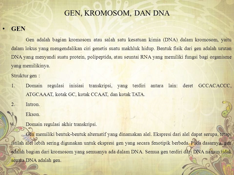 GEN, KROMOSOM, DAN DNA GEN