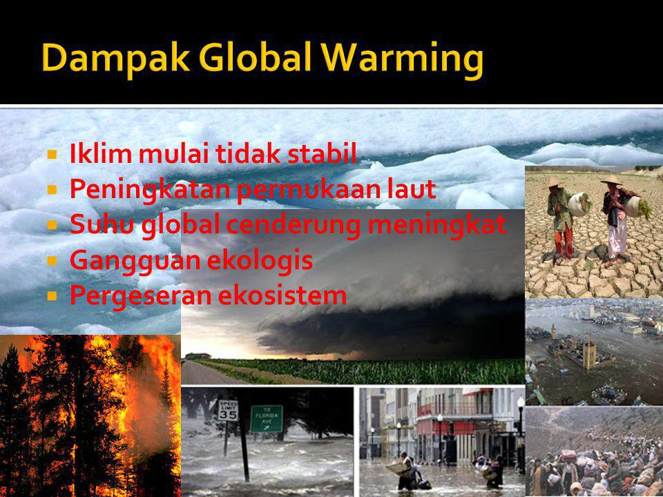 Dampak Global Warming Iklim mulai tidak stabil