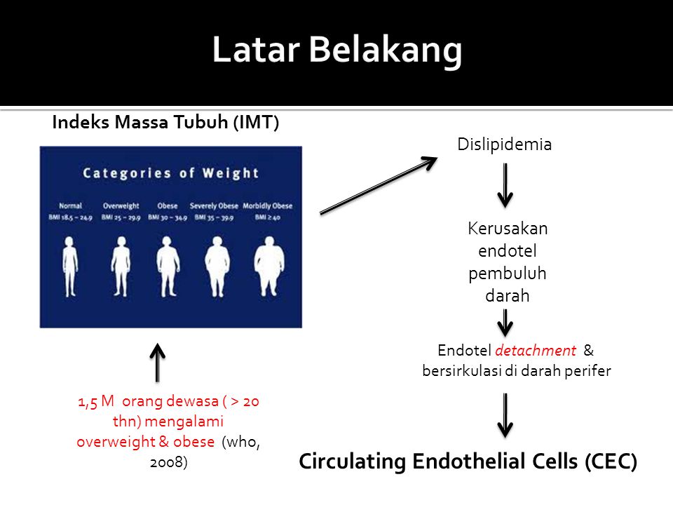 Latar Belakang Circulating Endothelial Cells (CEC)