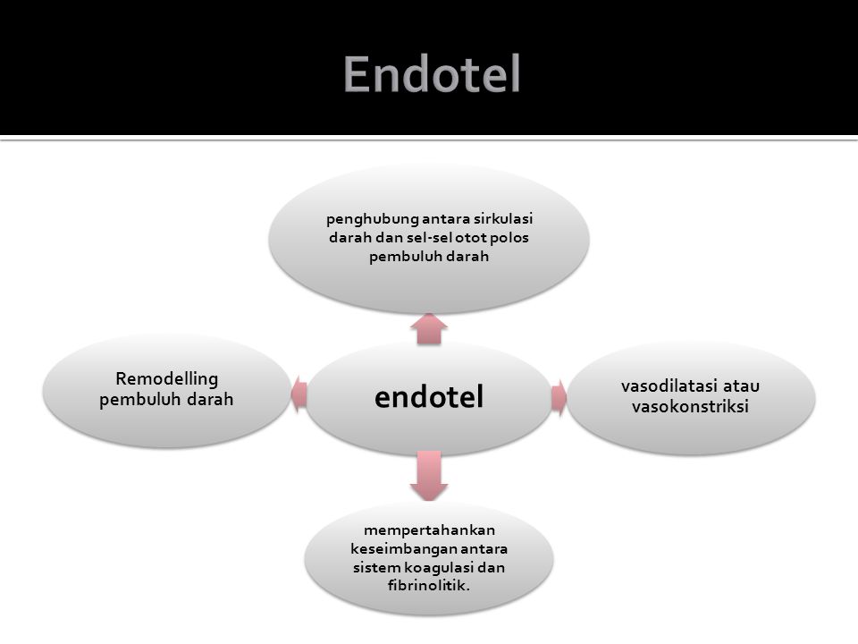 Endotel endotel vasodilatasi atau vasokonstriksi