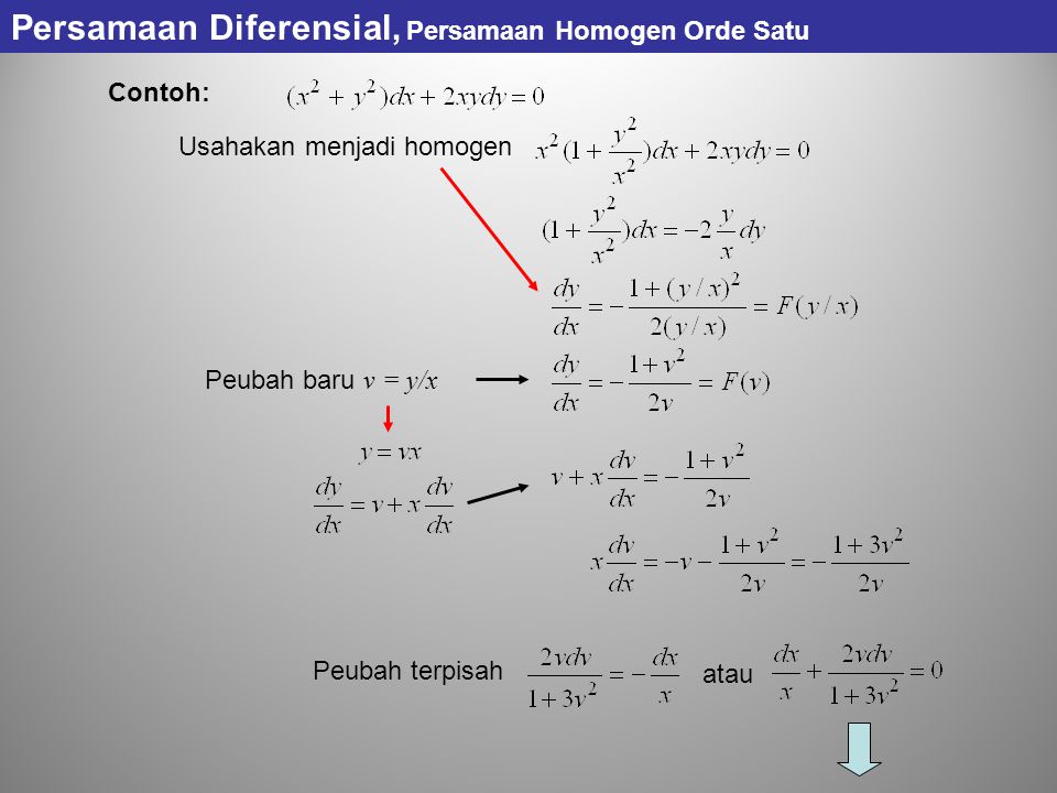 Persamaan Diferensial, Persamaan Homogen Orde Satu