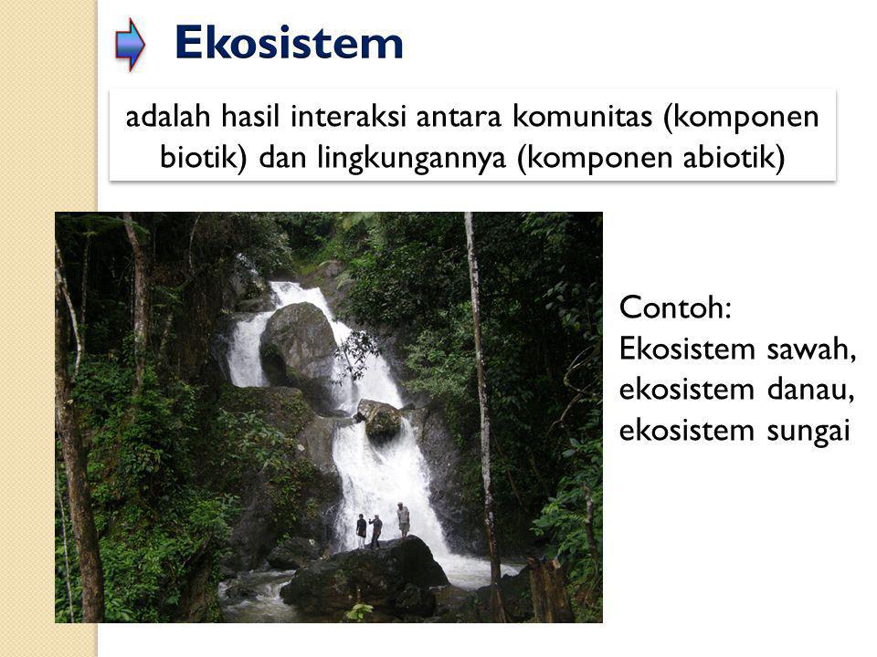 Ekosistem adalah hasil interaksi antara komunitas (komponen biotik) dan lingkungannya (komponen abiotik)