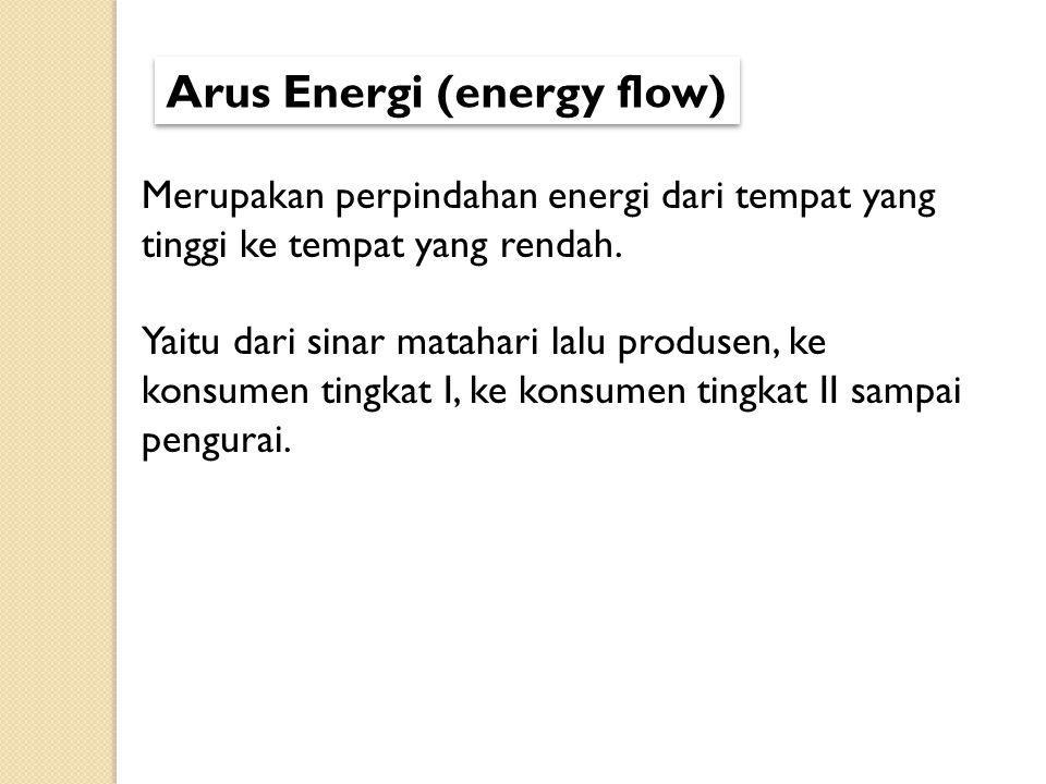 Arus Energi (energy flow)