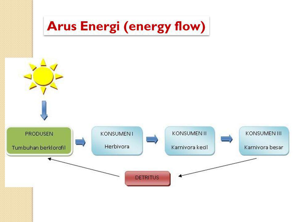 Arus Energi (energy flow)