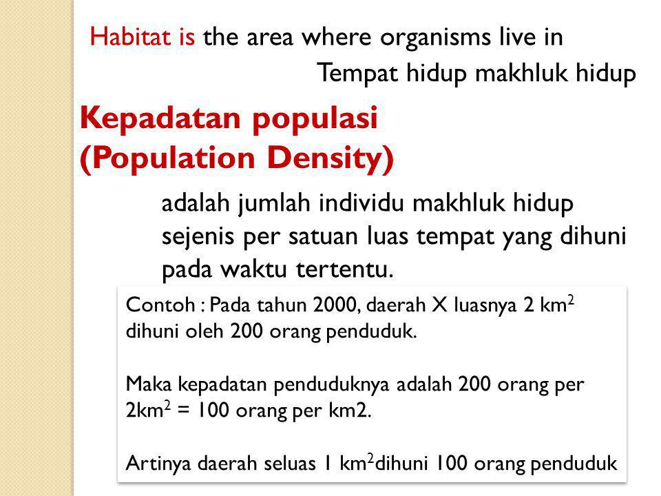 Kepadatan populasi (Population Density)