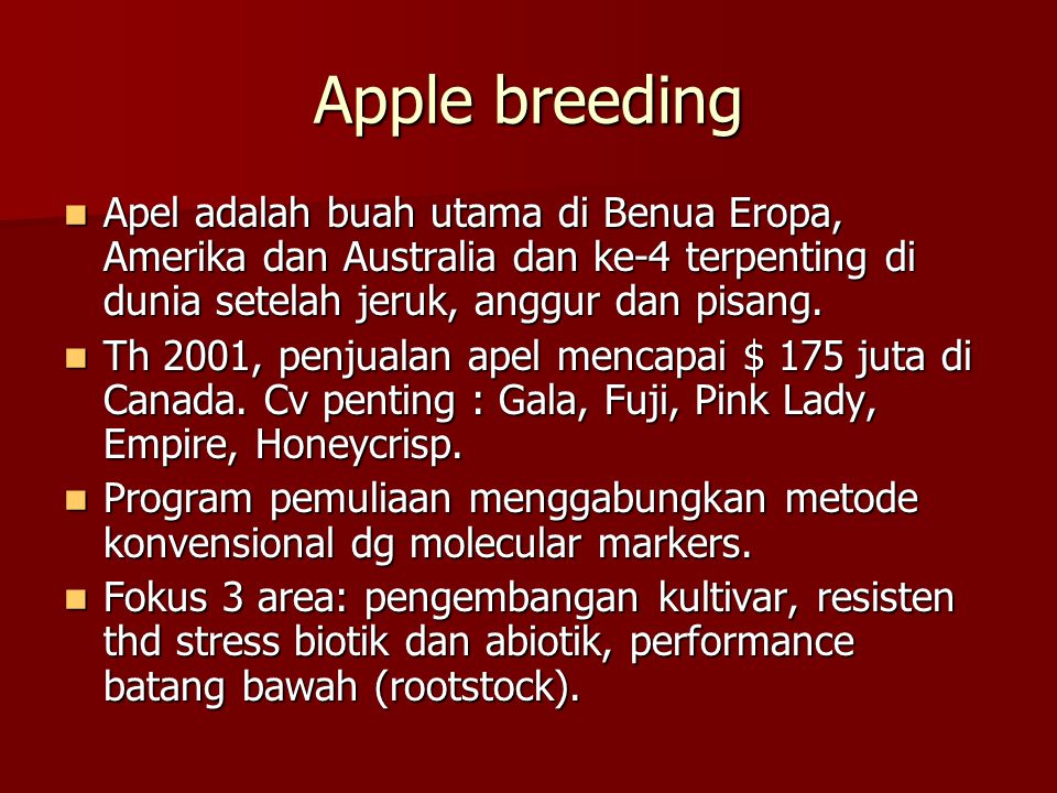 Apple breeding Apel adalah buah utama di Benua Eropa, Amerika dan Australia dan ke-4 terpenting di dunia setelah jeruk, anggur dan pisang.