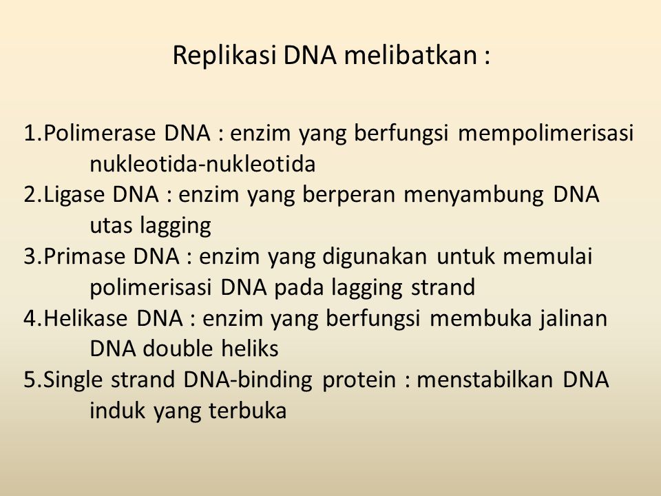 Replikasi DNA melibatkan :