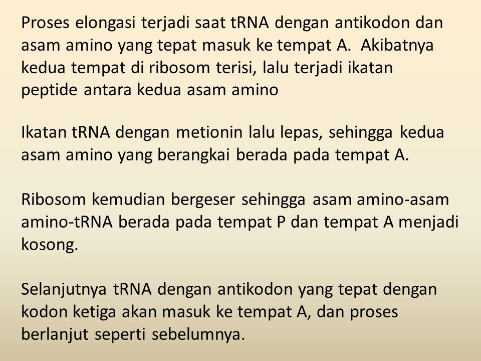 Proses elongasi terjadi saat tRNA dengan antikodon dan asam amino yang tepat masuk ke tempat A. Akibatnya kedua tempat di ribosom terisi, lalu terjadi ikatan peptide antara kedua asam amino