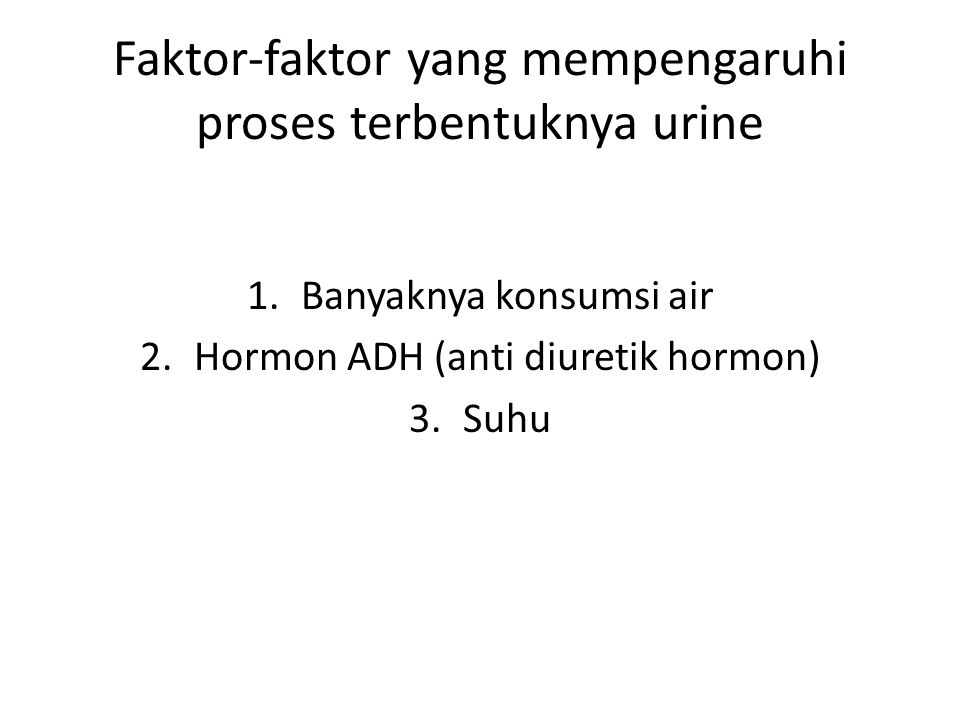 Faktor-faktor yang mempengaruhi proses terbentuknya urine