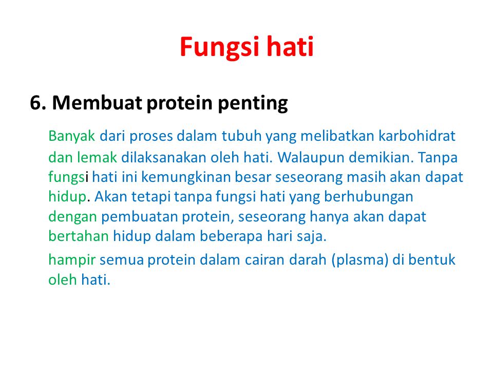 Fungsi hati 6. Membuat protein penting