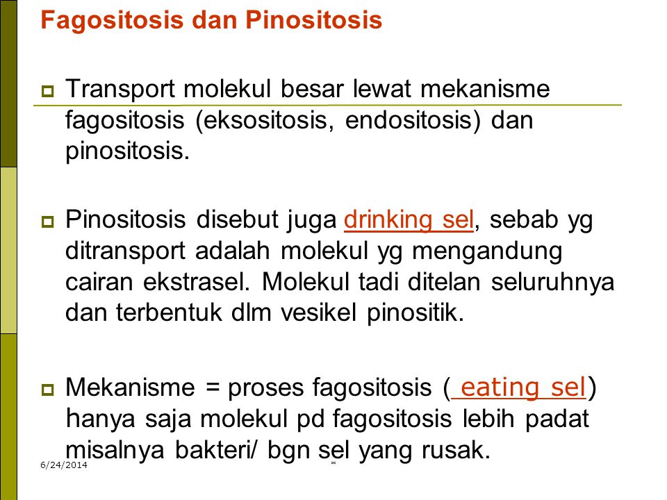 Fagositosis dan Pinositosis