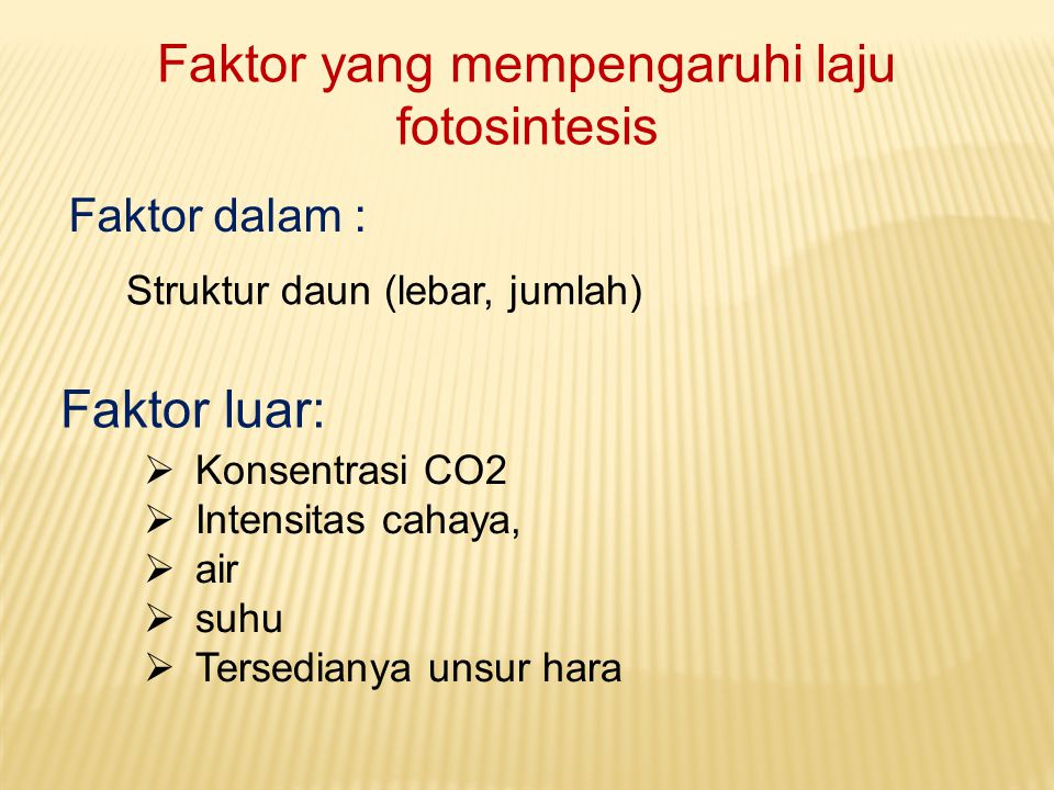 Faktor yang mempengaruhi laju fotosintesis