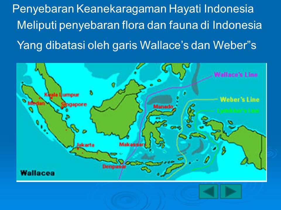 Penyebaran Keanekaragaman Hayati Indonesia