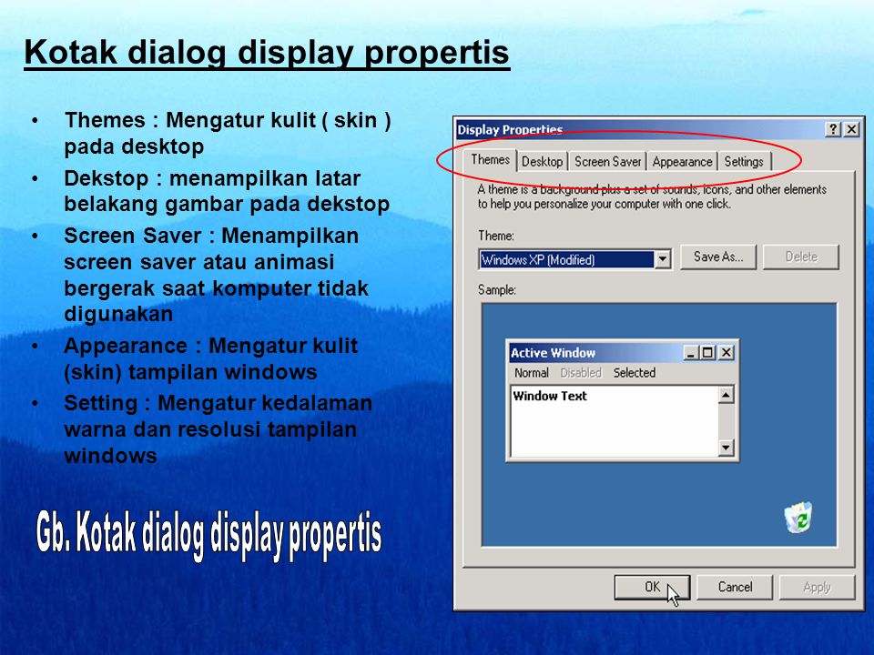 Kotak dialog display propertis