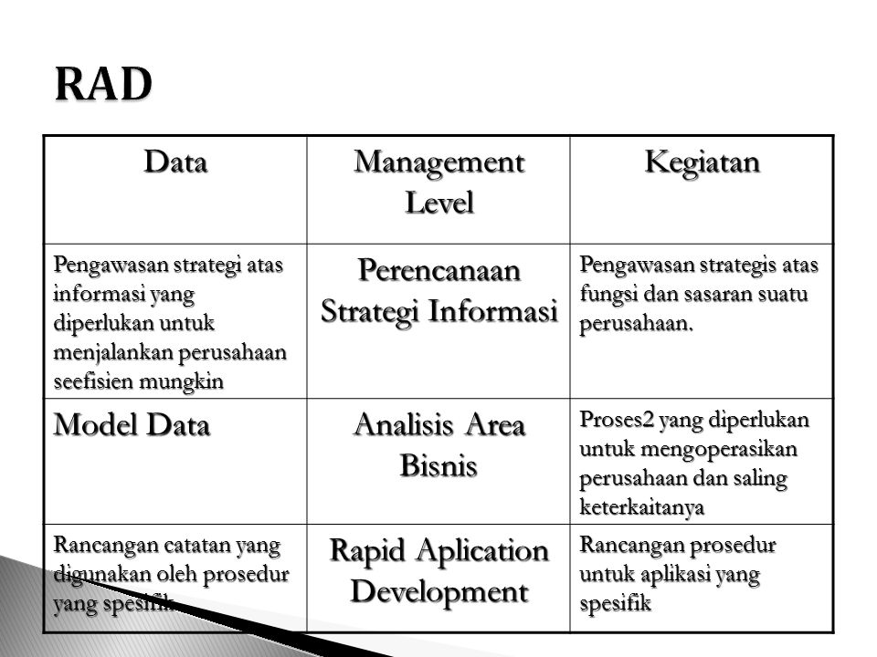 RAD Data Management Level Kegiatan Perencanaan Strategi Informasi