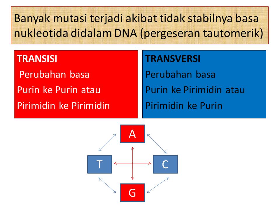 Banyak mutasi terjadi akibat tidak stabilnya basa nukleotida didalam DNA (pergeseran tautomerik)