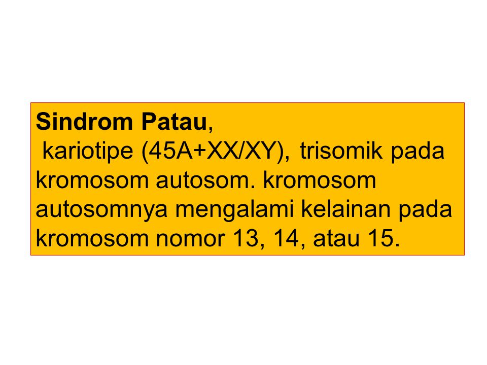 Sindrom Patau, kariotipe (45A+XX/XY), trisomik pada kromosom autosom.