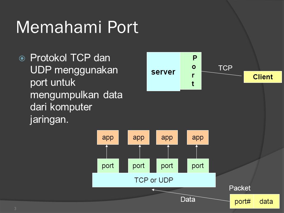 Memahami Port Protokol TCP dan UDP menggunakan port untuk mengumpulkan data dari komputer jaringan.