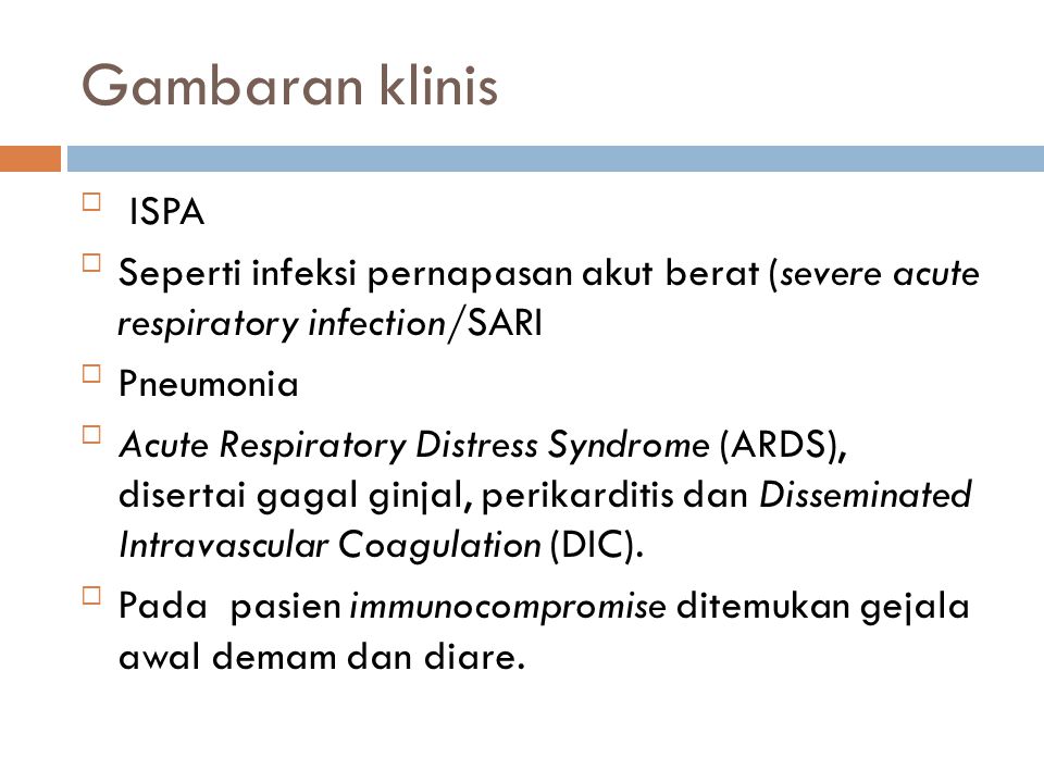 Gambaran klinis ISPA. Seperti infeksi pernapasan akut berat (severe acute respiratory infection/SARI.
