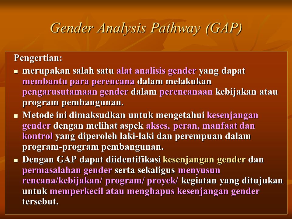 Gender Analysis Pathway (GAP)