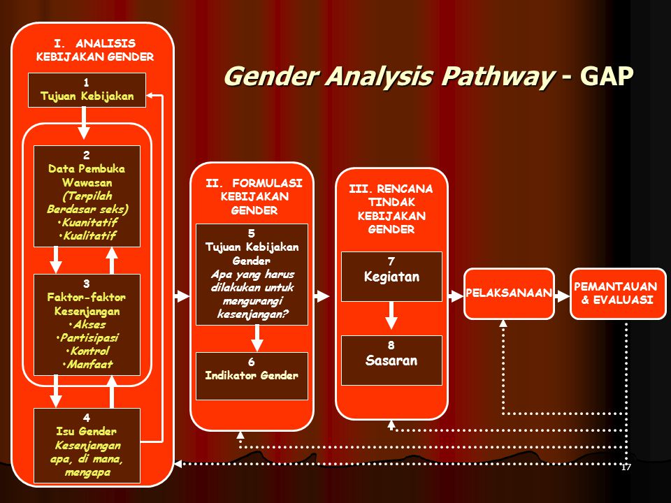 Gender Analysis Pathway - GAP