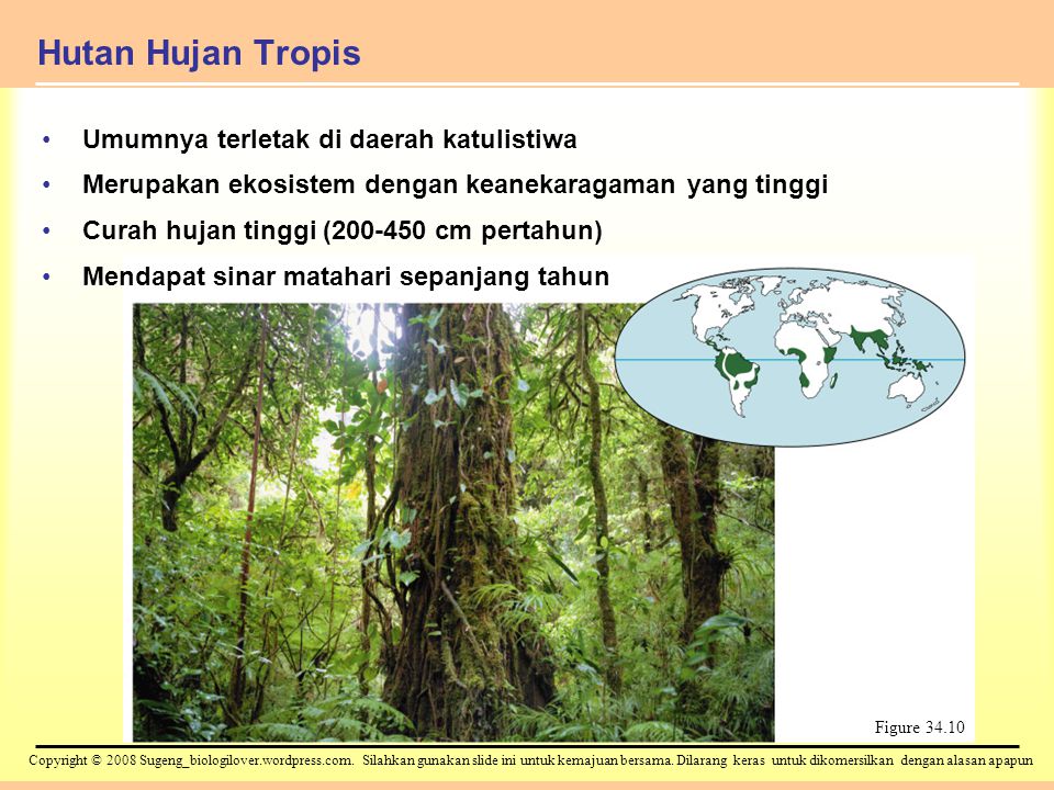 Hutan Hujan Tropis Umumnya terletak di daerah katulistiwa