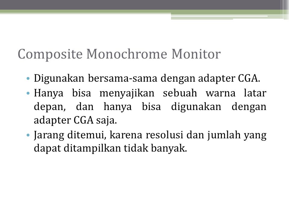 Composite Monochrome Monitor