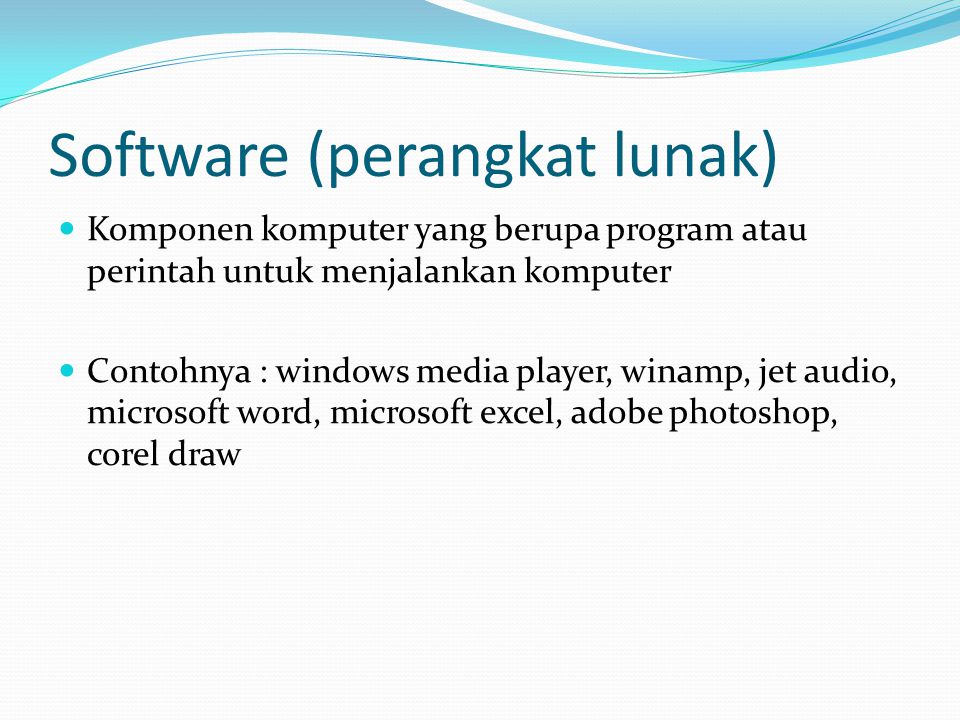 Software (perangkat lunak)