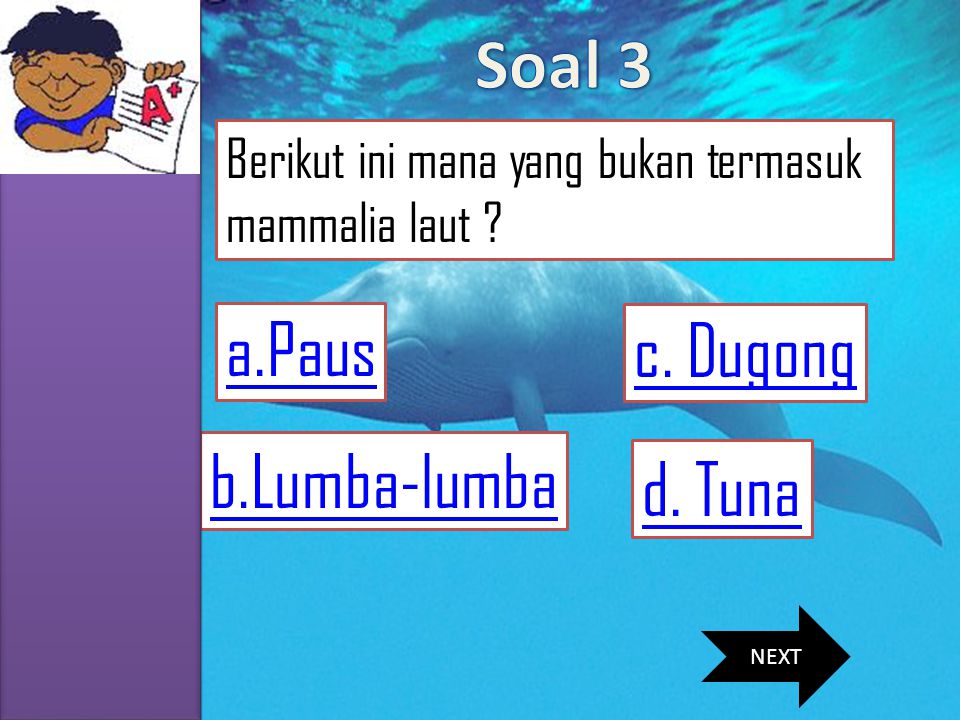 Soal 3 a.Paus c. Dugong b.Lumba-lumba d. Tuna