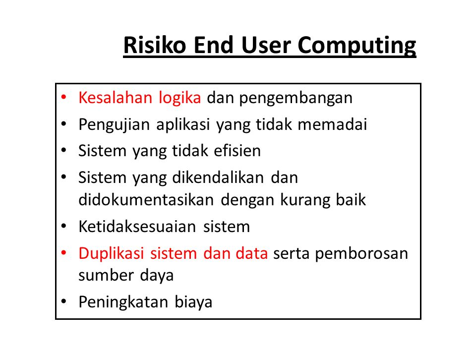 Risiko End User Computing