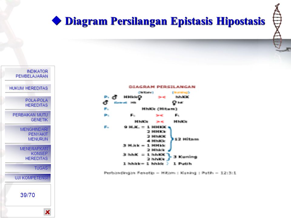  Diagram Persilangan Epistasis Hipostasis