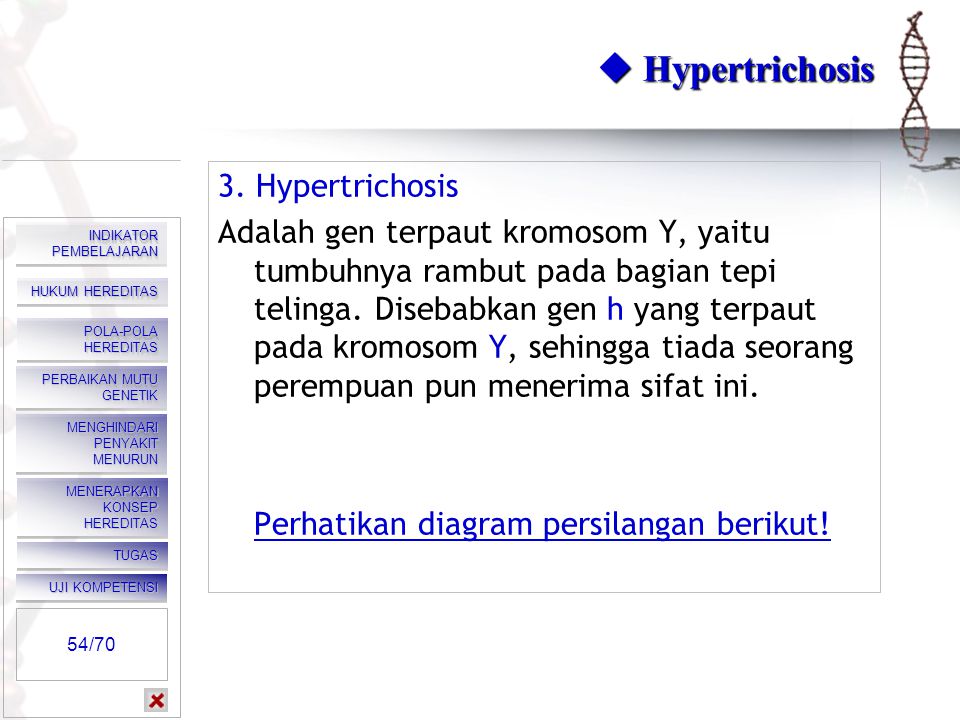  Hypertrichosis 3. Hypertrichosis