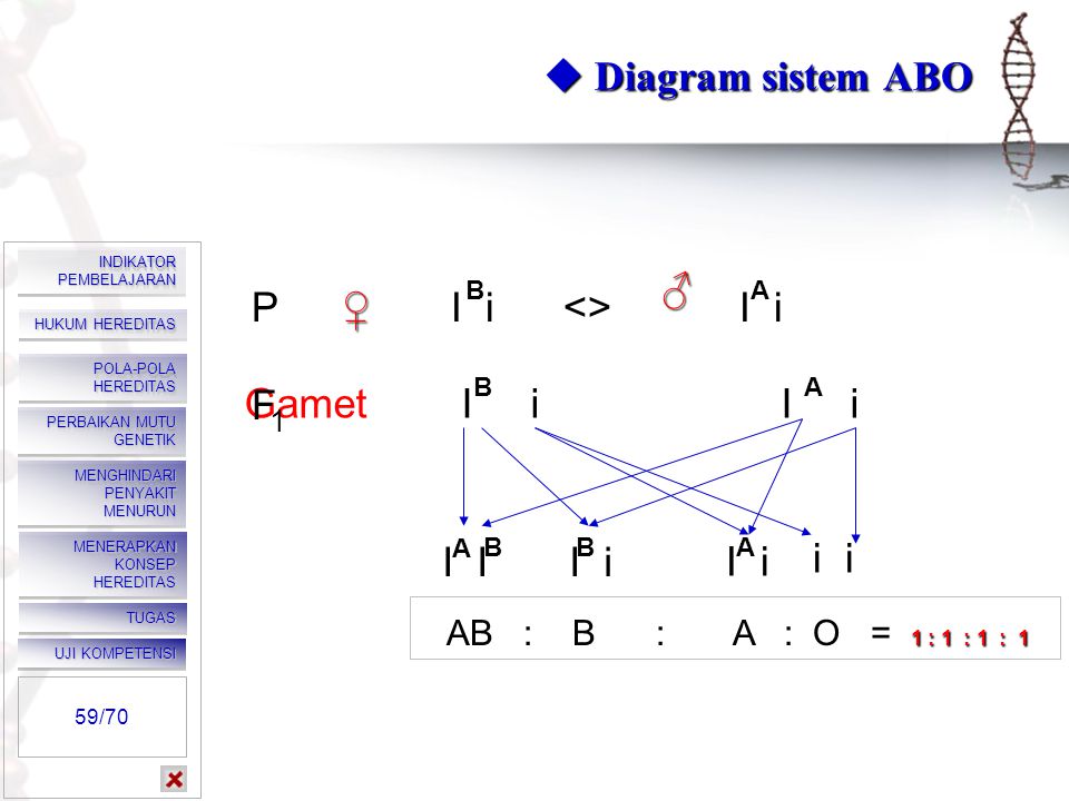  Diagram sistem ABO P I i <> I i ♂ ♀ Gamet I i I i F I I I i