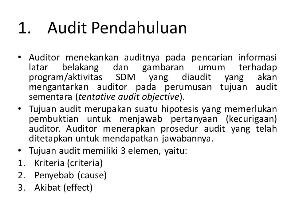 1. Audit Pendahuluan