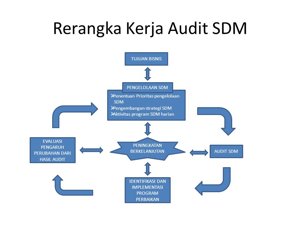 Rerangka Kerja Audit SDM