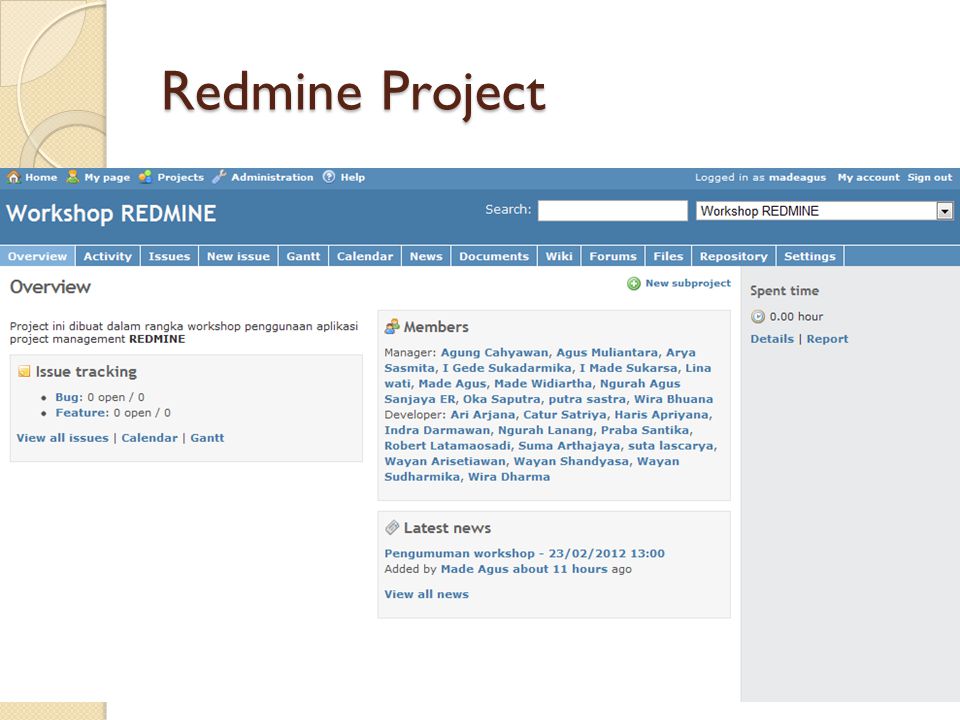 Redmine управление проектами инструкция