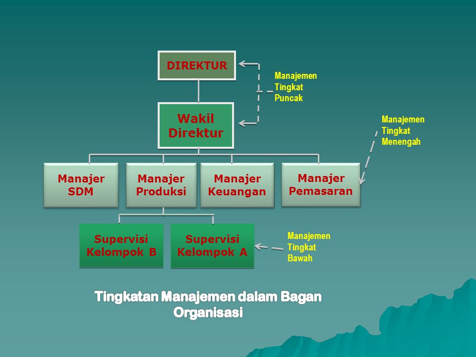 Tingkatan Manajemen dalam Bagan Organisasi