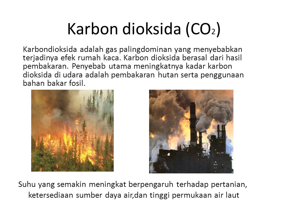 Karbon dioksida (CO2)
