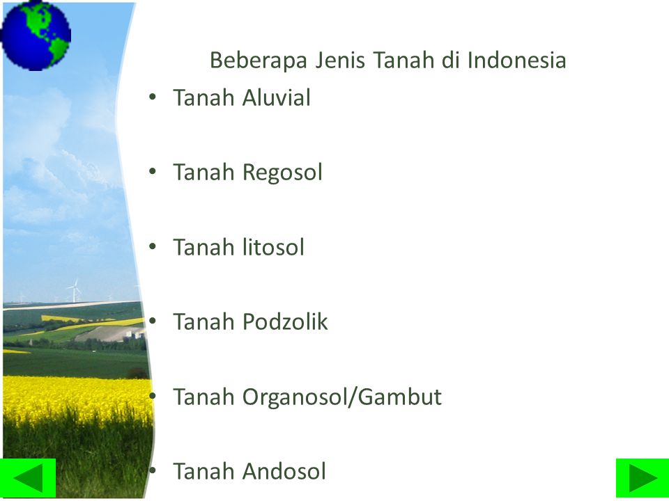 Beberapa Jenis Tanah di Indonesia