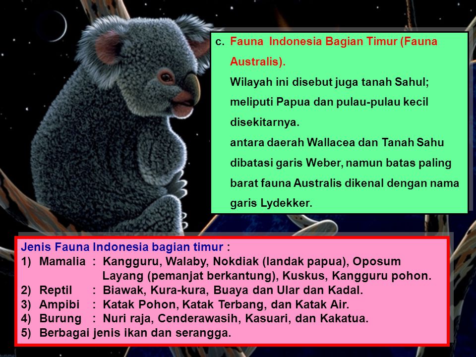 Fauna indonesia barat dan indonesia tengah dibatasi oleh garis....