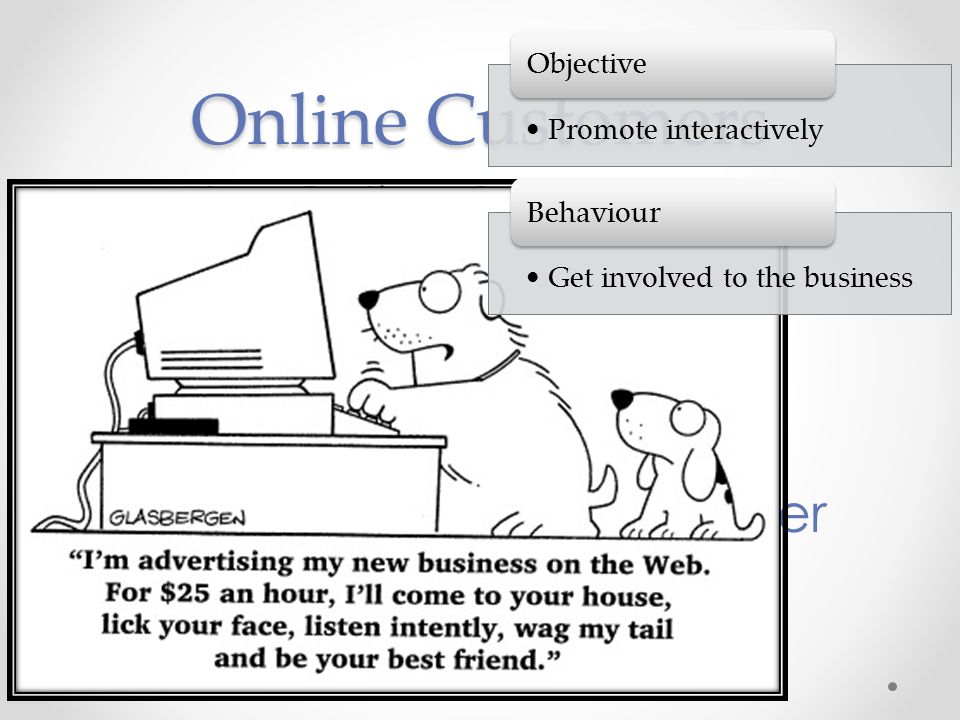 Online Customers The Online Surfer The Online Customer