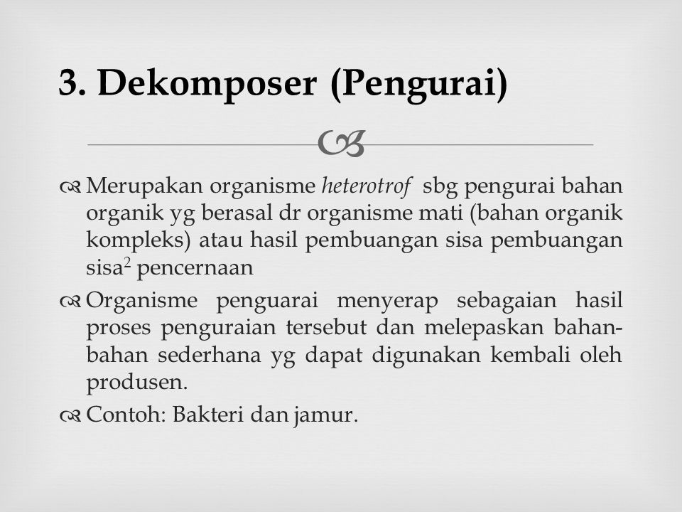 3. Dekomposer (Pengurai)