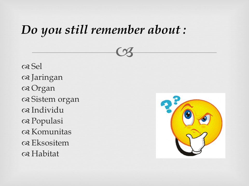 Do you still remember about :