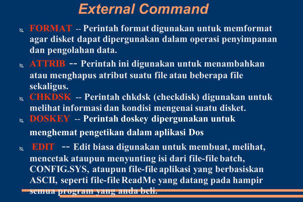 External Command FORMAT -- Perintah format digunakan untuk memformat agar disket dapat dipergunakan dalam operasi penyimpanan dan pengolahan data.