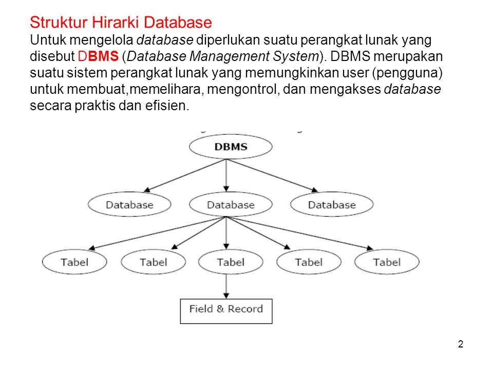 Struktur Hirarki Database Untuk mengelola database diperlukan suatu perangkat lunak yang disebut DBMS (Database Management System).