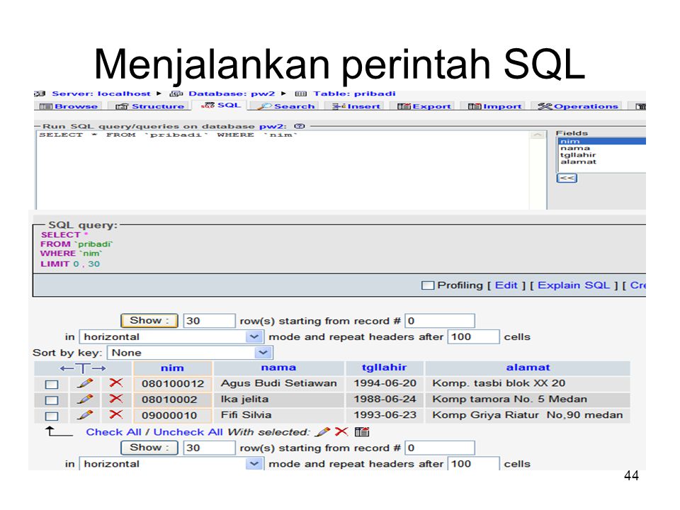 Menjalankan perintah SQL