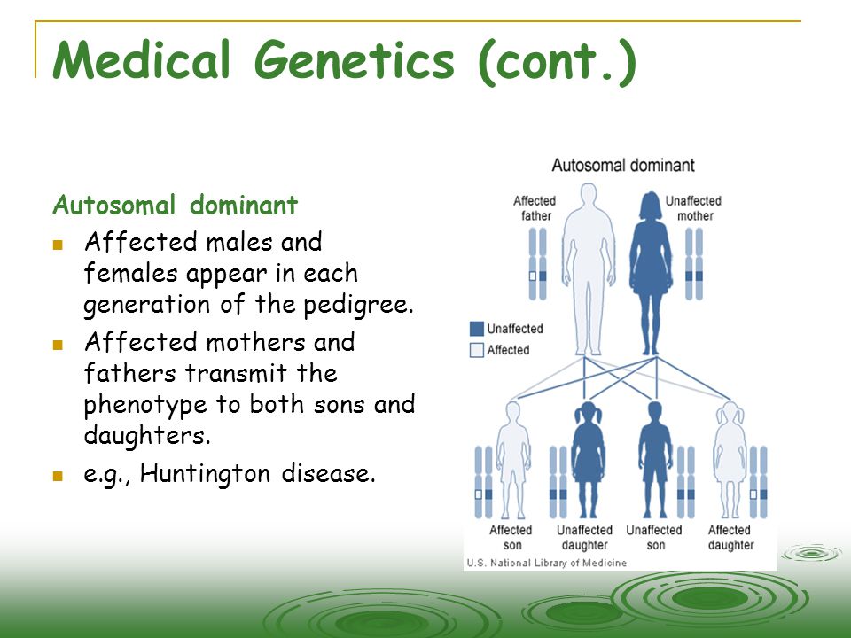 Medical Genetics (cont.)