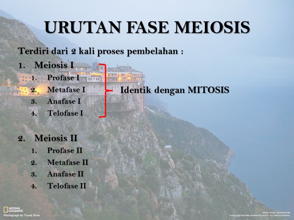URUTAN FASE MEIOSIS Terdiri dari 2 kali proses pembelahan : Meiosis I
