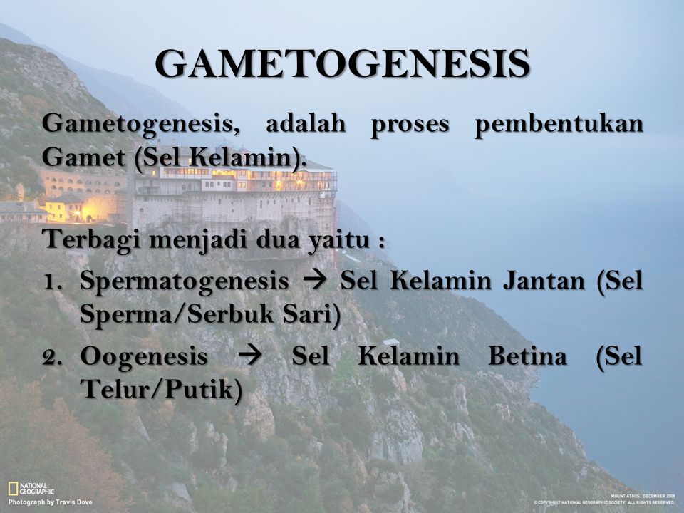 GAMETOGENESIS Gametogenesis, adalah proses pembentukan Gamet (Sel Kelamin). Terbagi menjadi dua yaitu :