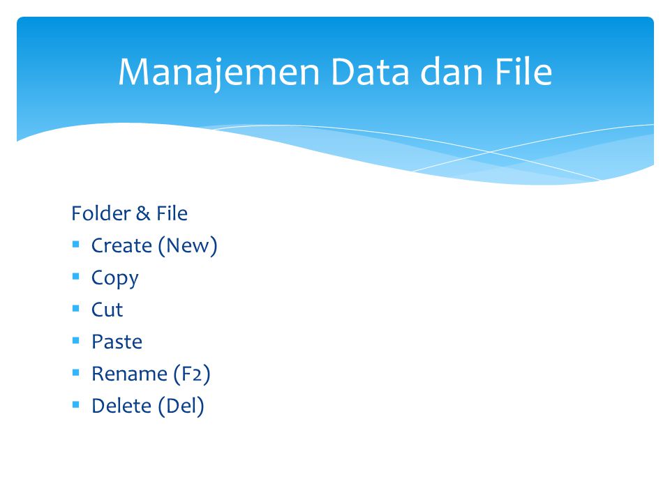 Manajemen Data dan File